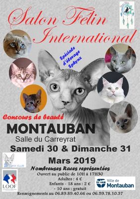 30.03.19 au 31.03.19 salon félin international.jpg