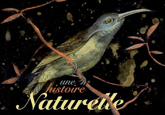 19.02.19 au 11.05.19 une histoire naturelle.jpg