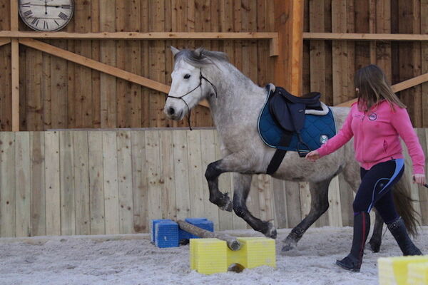 Centre_Equestre_Crinieres_Ouest_Lanvenegen (13).JPG