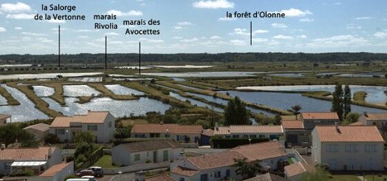 m-le-marais-visorando-2311.jpg