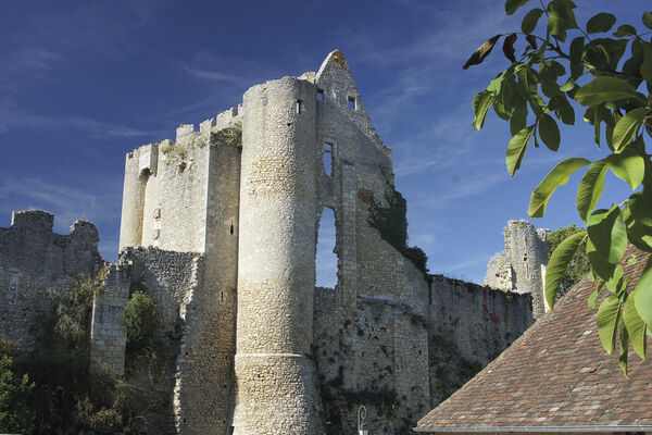 Forteresse Angles sur l'Anglin (3).jpg