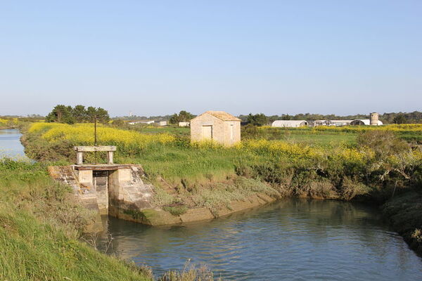 3Ferme-cabane-du-batardeau_opt.jpg