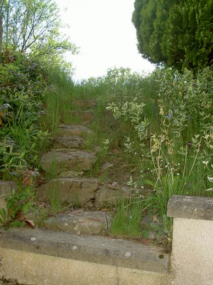 PICT2112.JPG