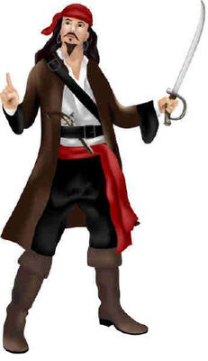 piRATE (3).jpg