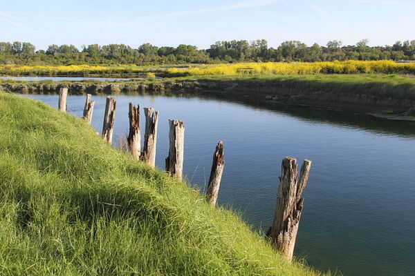 6la-ferme-des-baleines-bassin-rondins_opt.jpg