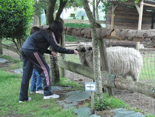 chez dame nature meslan (84).JPG