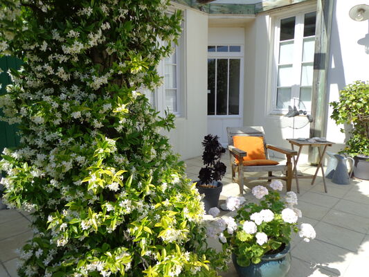 Patio fleuri