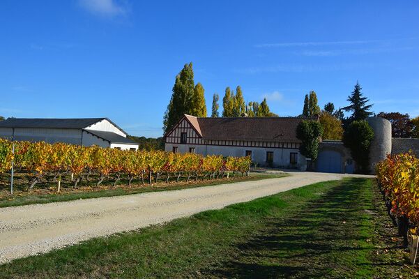 domaine-automne-2018.jpg