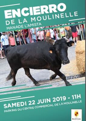 Affiche Encierro de la Moulinelle.JPG