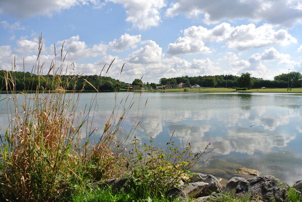 DSC_6389.JPG