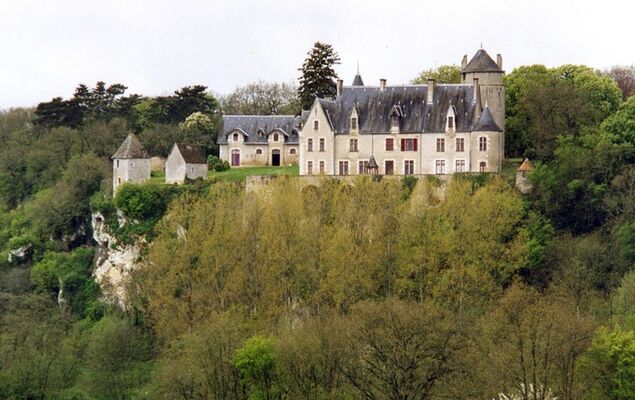 Chateau de la Guittiere_St Pierre de Maille.jpg