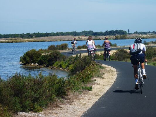 7 - vélo piste ile de ré - ©SPL Destination Ile de Ré.jpg