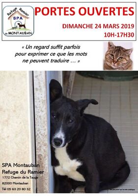 24.03.2019 Portes ouvertes du Refuge du Ramier.JPG