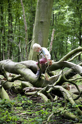 Parc6045.jpg