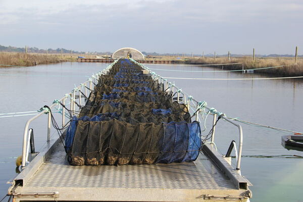 9-bassin-a-lanternes_opt.jpg