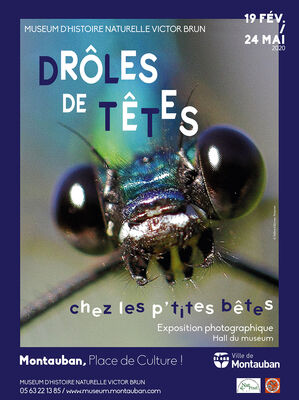 19.02.20 au 24.05.20 drôles de têtes.jpg