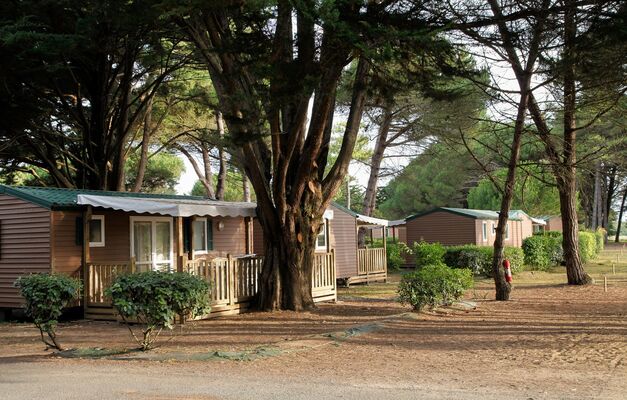 24_12_location-ile-de-re-camping-odalys-tamarins-plage-22.jpg