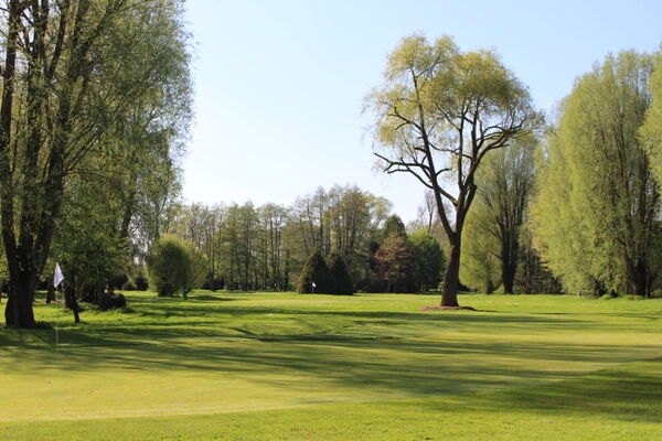 Golf 2.JPG