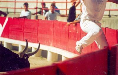 Beaucaire Course Camarguaise 1.jpg