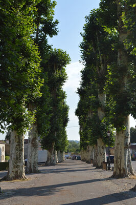 10-Place-de-la-greve.jpg