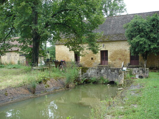 DSC02631.JPG