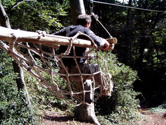FORET ELFES CERENCES.jpg