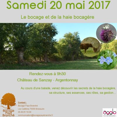 170520-argentonnay-decouverte haie.jpg