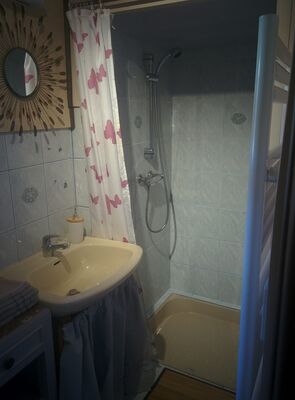 gîte-studio rustique-bressuire-sdb.jpg