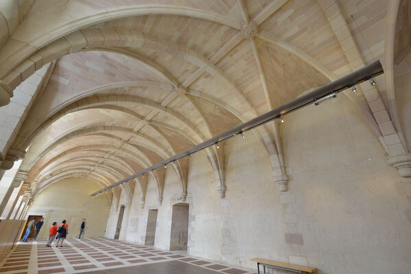 Abbaye - St Savin - 2017 - ©Momentum Productions Mickaël Planes (240).JPG
