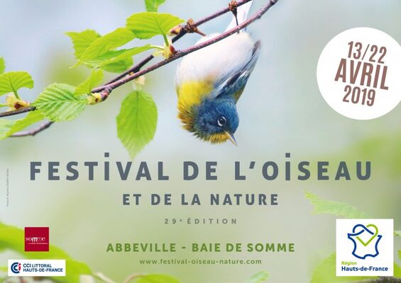 festival_2019_horizontal.jpg