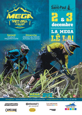 affiche mégavalanche 2017.jpg