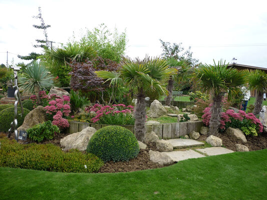 le jardin bosselé à st venant4.JPG