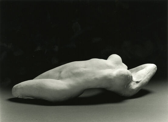 Arrivée de nouvelles sculptures de Rodin MBA.jpg