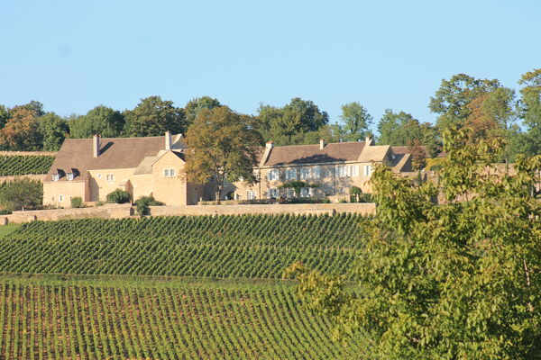 Vignobles Givry (1).JPG