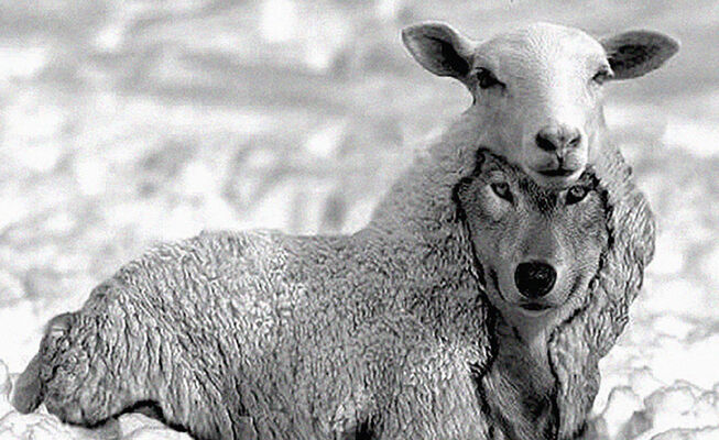 Un loup pour l'homme.jpg