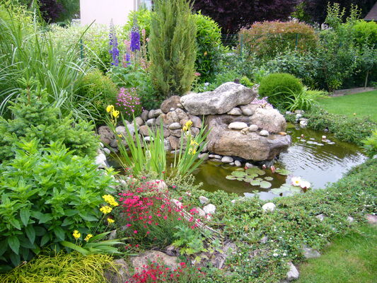 Bassin + fleurs.JPG