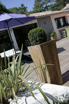 Tresor terrasse .jpg
