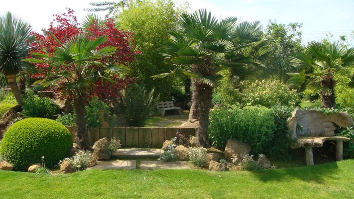jardin bosselé2.JPG