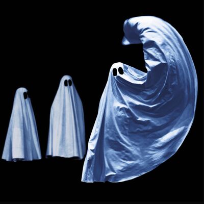 2020-04-29_ Pillowgraphie ©Roger Legrand.jpg