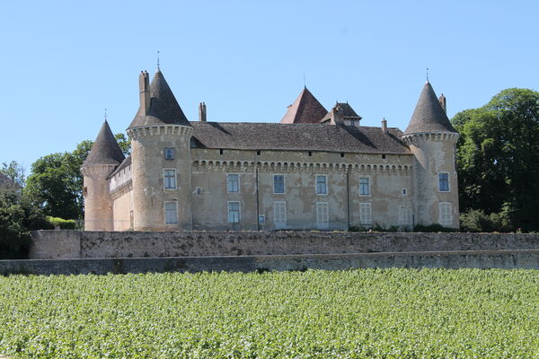Rully Château et vignes