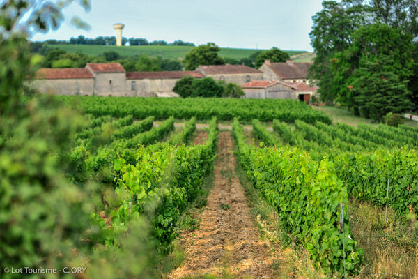 Château Lacapelle-Cabanac - Chai--© Lot Tourisme - C. ORY.jpg