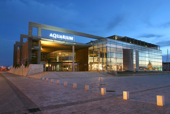 batimentlanuit(c)AquariumLaRochelleSAS.jpg