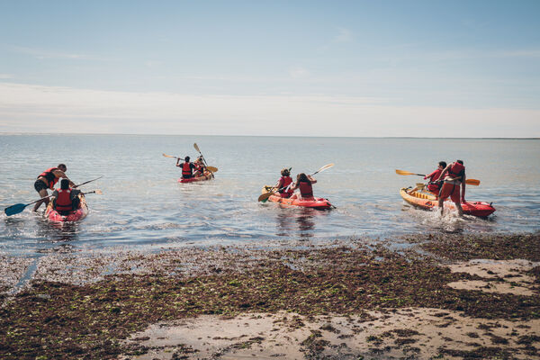 kayak-bois-plage-iledere.jpg
