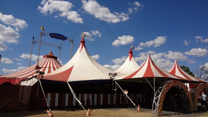 circus-231549_960_720.jpg
