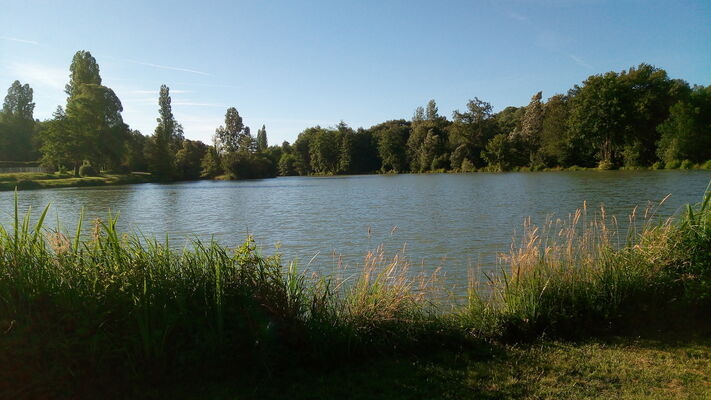 etang du petit moulin4.jpg