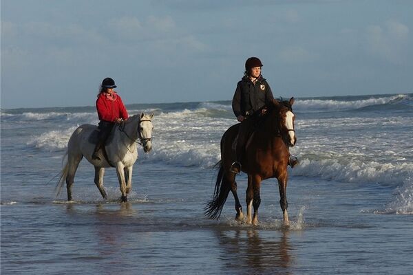 ecuriesdumoulinmoreau-laflotte-iledere-cavaliers.jpg
