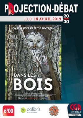 18.04.19 AFF DEBAT DANS LES BOIS.jpg