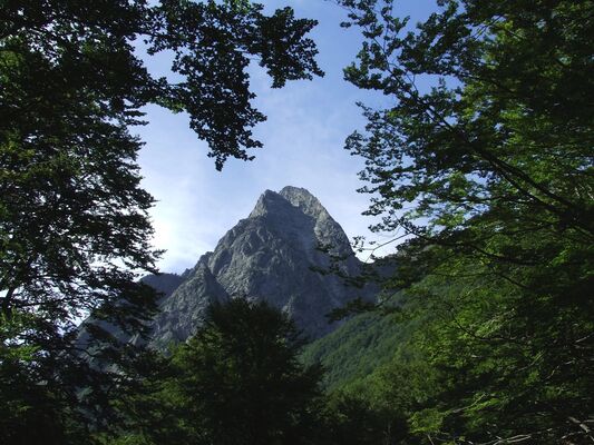 Dent d'Orlu
