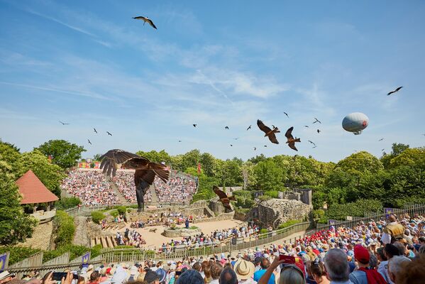 bal-des-oiseaux.jpg