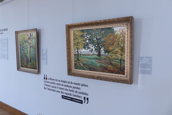 Musée PAH 2019 ©MuséePAH (21).JPG